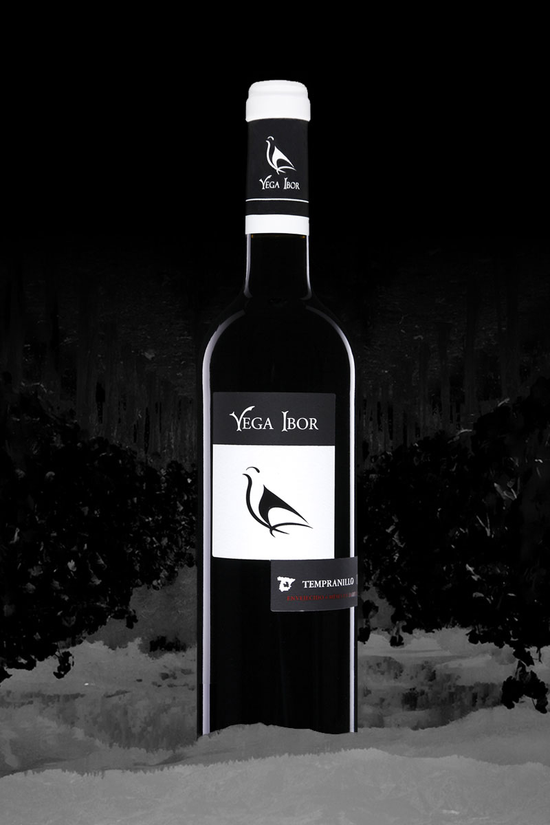 Ibor 6 Roble. Vega 2020 meses - Bodegas Real Selección.